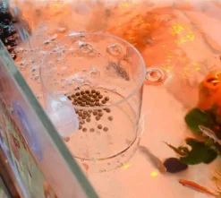 Aquarium-Fischfutterspender - Transparentes Saugwerkzeug