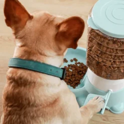 Automatischer Futterspender für Haustiere – Interaktiver Futterspender für Hunde und Katzen