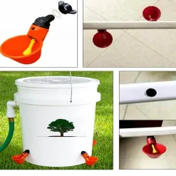 Automatischer Viehtränkespender - Effizientes Hydratationssystem für Tiere