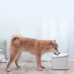 Automatischer Wasserspender für Haustiere – Intelligentes Bewässerungssystem für Haustiere