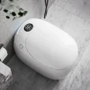 Beheizter Toilettensitz – Intelligentes, hygienisches, eiförmiges Design