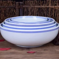 Blau-weiße chinesische Nudelschüssel aus Porzellan – elegantes Keramikgeschirr zum Essen