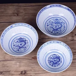 Blau-weiße Ramen-Schüssel aus Porzellan mit Drachenmuster