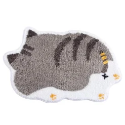 Cartoon Absorbent Floor Mat - Fun Decorative Rug for Home