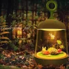 Colorful LED Micro-Landscape Plant Light - USB Charging Novelty Decor