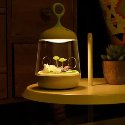 Colorful LED Micro-Landscape Plant Light - USB Charging Novelty Decor