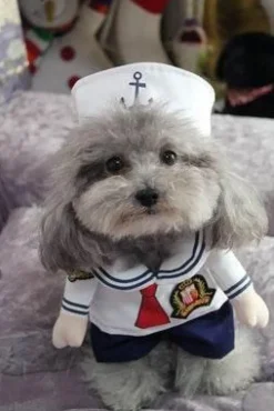 Cop-Hundekostüm – Entzückendes Polizisten-Outfit für Haustiere