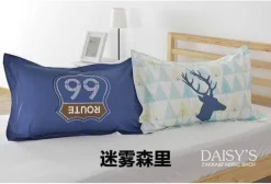 3D-Cartoon-Kissenbezüge – Lustige dekorative Bezüge aus Baumwolle