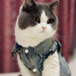 Denim Cowboyjacke für Hunde - Stylischer Western-Haustiermantel