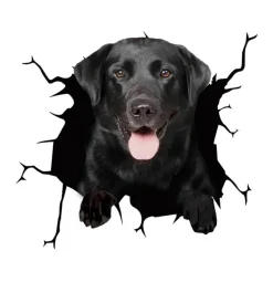 3D-Welpen-Auto-Kratzschutz-Aufkleber – süße Fahrzeugdekoration