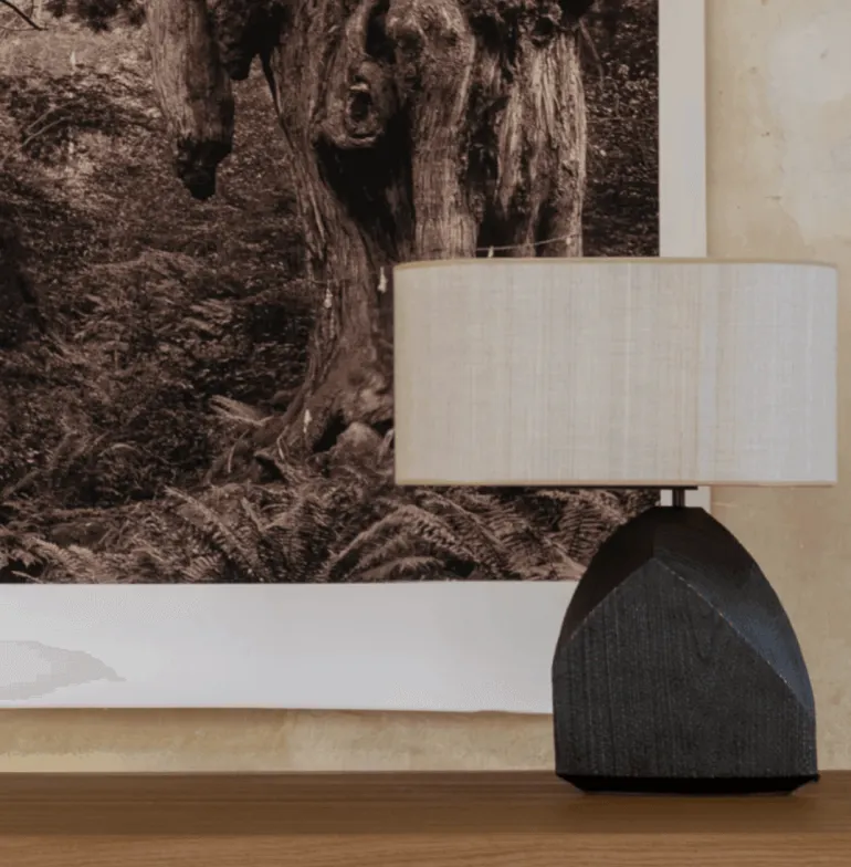 Eco-Friendly Table Lamp - Forest Haven Lighting Fixture