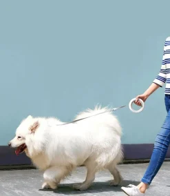 Einziehbare, wiederaufladbare LED-Hundeleine – beleuchtete Haustierleine