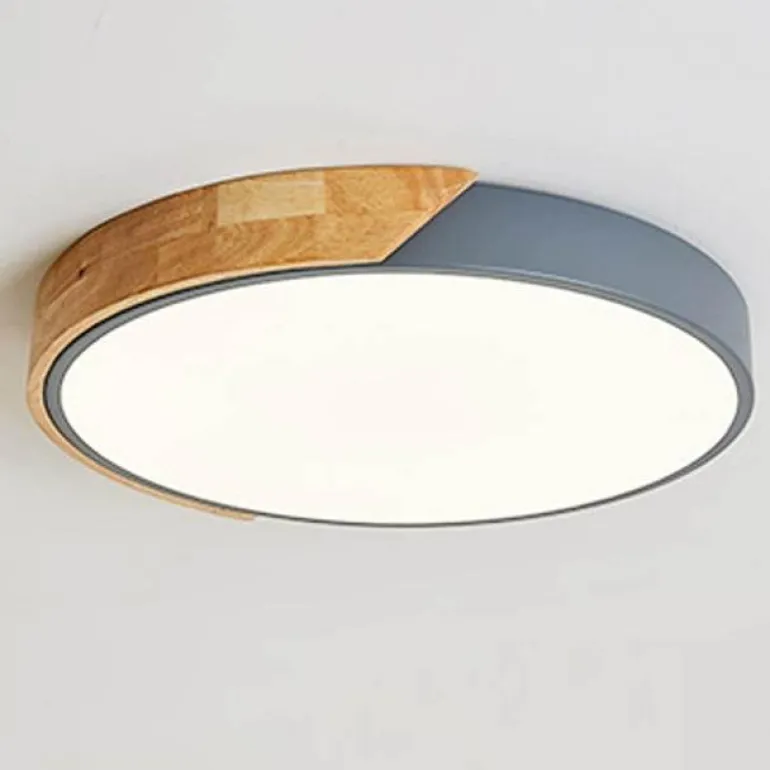 Energy Efficient Modern LED Ceiling Light Fixture