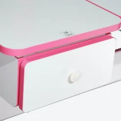 Ergonomic Kids Desk - Adjustable Smart Design for Comfortable Study