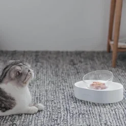 Erhöhter Futternapf für Haustiere – Verstellbare Hunde- und Katzennäpfe