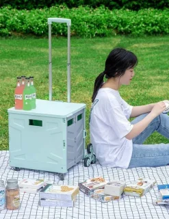 Faltbarer Einkaufswagen – Tragbarer Picknickwagen-Organizer