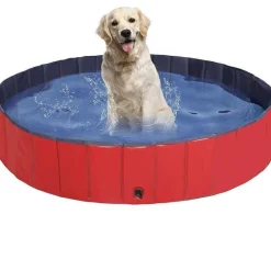Faltbarer Haustier-Badepool - Tragbarer Hunde- und Katzenpool