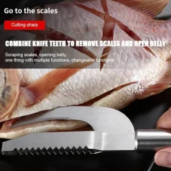 Fischschuppenschaber aus Edelstahl – Meeresfrüchte-Schälwerkzeug