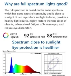 Florale Tischlampe - Elegantes romantisches Nachtlicht