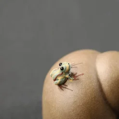 Frosch-Kung-Fu-Teefiguren – süßes Sammler-Teedekor