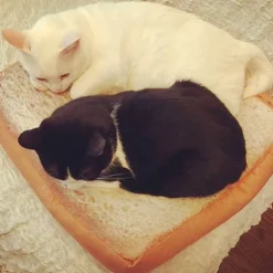 Gemütliches Katzenbett – warmes Haustierbett in Brotform