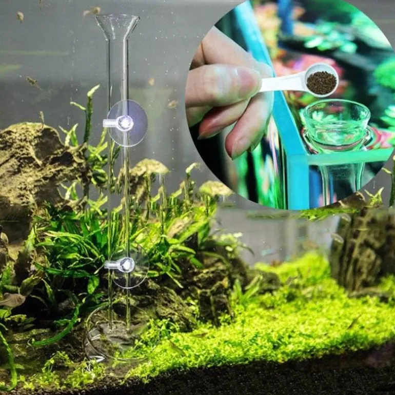 Glas-Futterrohr für Aquarienfische – transparentes Fütterungsgerät