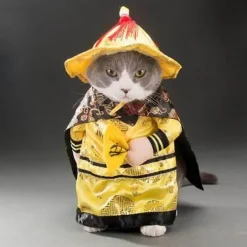 Golden King Hundekostüm - Fantasy Haustier Cosplay Outfit