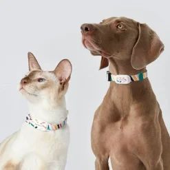 GPS-Haustier-Tracker – Verstellbares Smart-Halsband für Hunde und Katzen