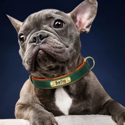 GPS-Haustier-Tracker – Verstellbares Smart-Halsband für Hunde und Katzen