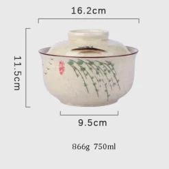 Große Keramik-Ramenschüssel mit Deckel – Retro-Suppen- und Salatteller