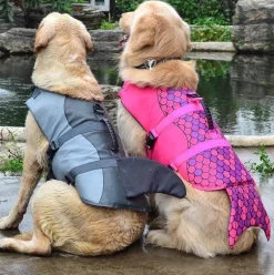 Hai-Rettungsweste für Hunde – Schwimmweste für Haustiere zur Sicherheit im Wasser