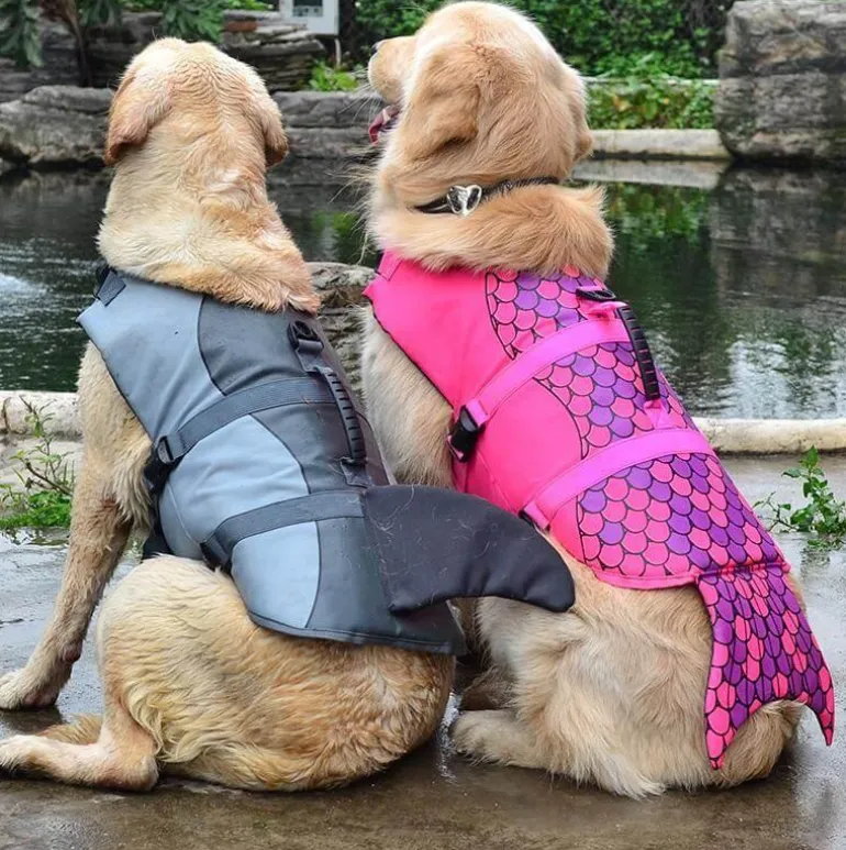 Hai-Rettungsweste für Hunde – Schwimmweste für Haustiere zur Sicherheit im Wasser