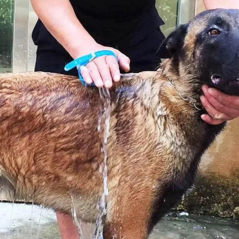 Haustier-Badesprüher – Multifunktionales Pflegewerkzeug für Hunde und Katzen