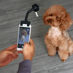 Haustier-Selfie-Stick für Katzen und Hunde – Ultimatives Fotozubehör