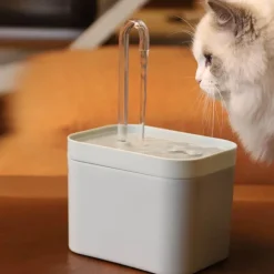 Haustier-Trinkbrunnen – Ultraleise Trinkstation mit Filter