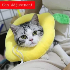 Heilendes Haustierhalsband – Weicher Genesungskegel für Hunde und Katzen