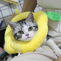 Heilendes Haustierhalsband – Weicher Genesungskegel für Hunde und Katzen