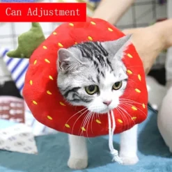 Heilendes Haustierhalsband – Weicher Genesungskegel für Hunde und Katzen