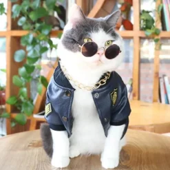 Hundejacke aus Leder – Stilvoller warmer Haustiermantel