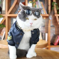 Hundejacke aus Leder – Stilvoller warmer Haustiermantel