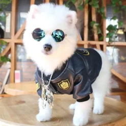 Hundejacke aus Leder – Stilvoller warmer Haustiermantel