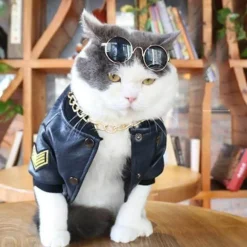 Hundejacke aus Leder – Stilvoller warmer Haustiermantel