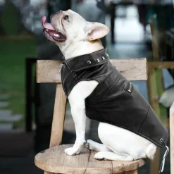Hundemantel aus Leder – Stilvolle Haustierjacke