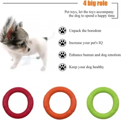 Interaktive Hunde-Frisbee - Lustiges Outdoor-Spielzeug für Haustiere