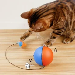 Interaktiver Katzenspielzeugball – Automatisches Laufspielzeug für Katzen
