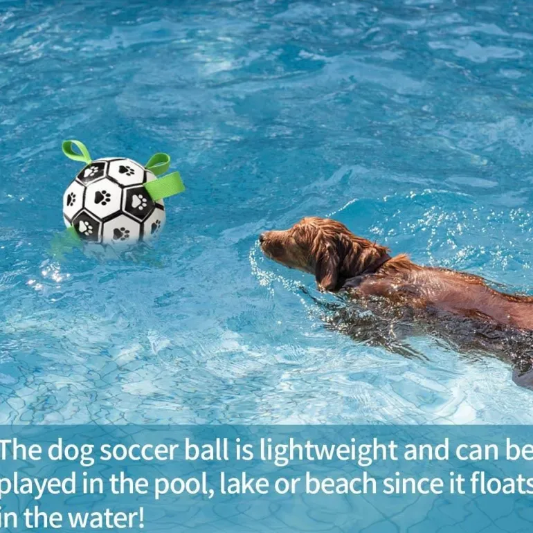 Interaktiver Trainingsball für Haustiere – Intelligentes Hundespielzeug für Katzen und Hunde