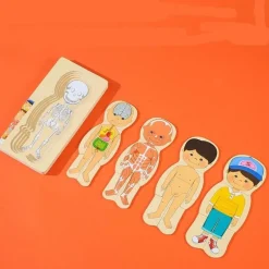 Interaktives Anatomiemodell - Pädagogisches Spielzeug für den menschlichen Körper