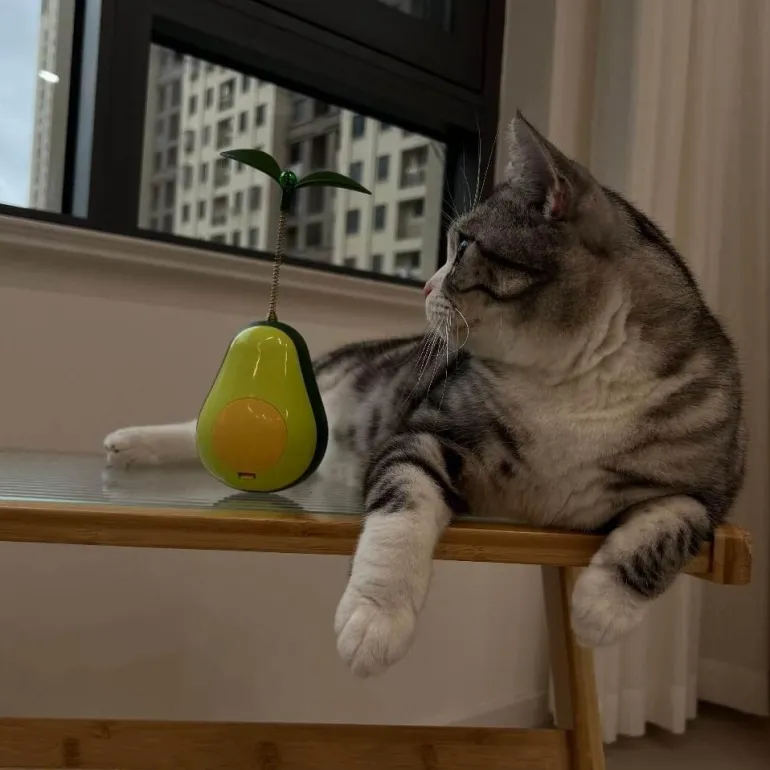 Interaktives Avocado-Wackler-Katzenspielzeug – Spannender 3-in-1-Spaß für Ihren Stubentiger
