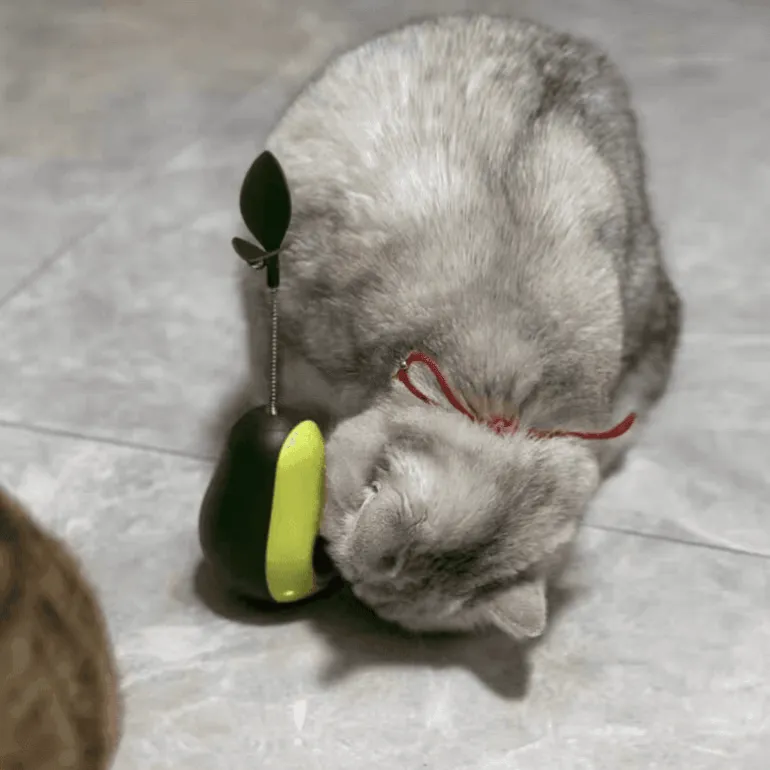 Interaktives Avocado-Wackler-Katzenspielzeug – Spannender 3-in-1-Spaß für Ihren Stubentiger