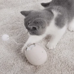 Interaktives Eierschalen-Katzenspielzeug für spannendes Spielen